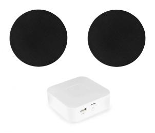 Акустичний комплект SKY SOUND BT-6502 Black (2 шт)