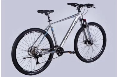 Велосипед Formula ZEPHYR 3.0 DD CS 21 2025 Silver