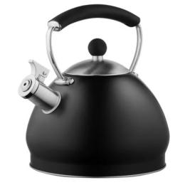 Чайник IQ Вe Natural 2.5 л (IQ-1003) Black