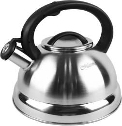 Чайник Maestro MR-1313 Stainless Steel