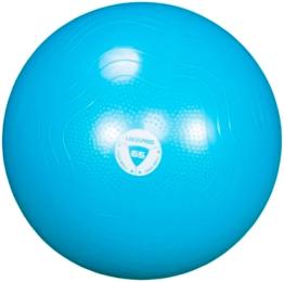 Фітбол зміцнений LivePro ANTI-BURST CORE-FIT EXERCISE BALL (LP8201-65)
