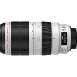 Обєктив Canon EF 100-400mm f/4.5-5.6L IS II USM Black White