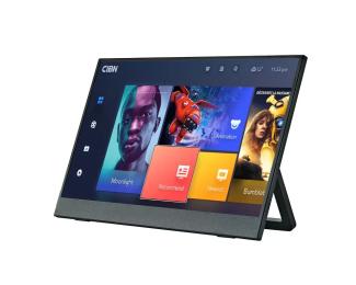 Монітор Anmite A160W03 Black 16