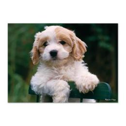 Пазл Melissa&amp;Doug Цуценята MD8923 30 елементів класичний