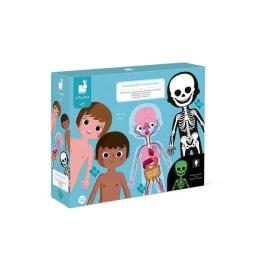 Пазл Janod Тіло людини J02681 класичний