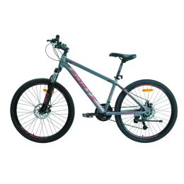 Велосипед Forte COMPASS 25.2719-16S Gray Red