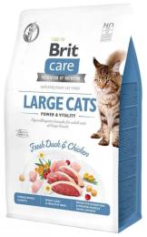 Корм сухий Brit Care Cat Grain Free Large Power Vitality для дорослих котів великих порід з качкою та куркою 400 г