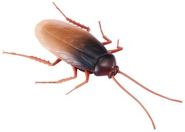 Інтерактивна іграшка Pets &amp; Robo Alive Robo Alive (7112) Тарган (7112)