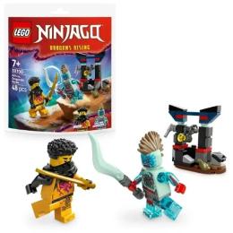Конструктор LEGO Ninjago Арін проти Дракона: Битва (30700)