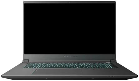 Ноутбук Thunderobot 911 X17 (911X17-i7136H56C1Q165MBD) Black