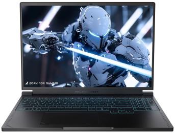 Ноутбук Thunderobot RS16 (RS16-i9139HX57TC1Q240ARB1) Black