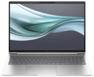 Ноутбук HP EliteBook 665 G11 (8Z713AV) Silver