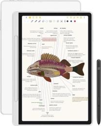 Графічний планшет XP-Pen Magic Note Pad 10.9 (CDM1101U-BEU)