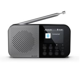Радіоприймач Sharp DR-P520 Storm Gray DR-P520(GY)