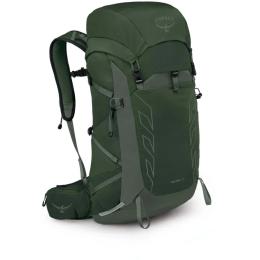 Рюкзак Osprey Talon 33 Green Canopy Pine Leaf