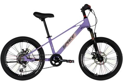 Велосипед SPACE KID ALIOTH MG 20 DD FR рама-11 2025 Purple (OPS-SK-20-017)