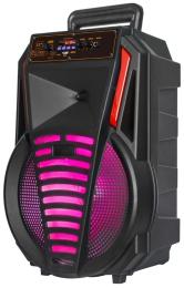 Акустика портативна Big 12PREDATOR Black