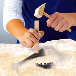 Набір для експериментів SES Дослідник Розкопки скелета Тиранозавра (25028S)