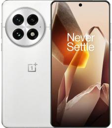 Смартфон OnePlus 13 24GB/1TB Arctic Dawn (Global)