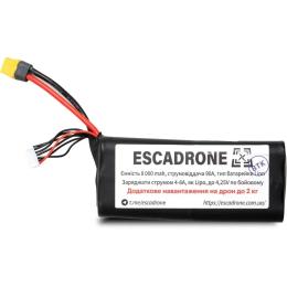 Акумулятор для квадрокоптера EVE 6s2p 40p 8000mAh XT60 з балансиром (EVE-8000)