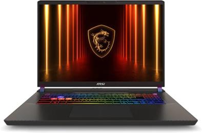 Ноутбук MSI Vector 17 HX AI A2XWJG (A2XWJG-089XPL)