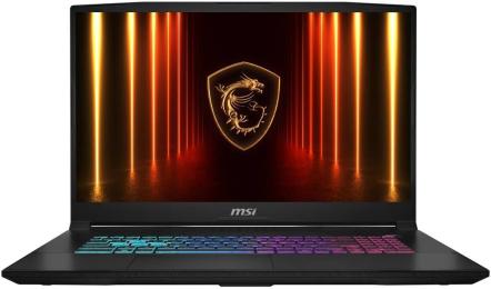 Ноутбук MSI Katana 17 HX B14WGK (B14WGK-036XPL) Black