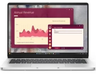 Ноутбук Dell Pro 14 PC14250 (BTO109_PC14250_UA_UBU)