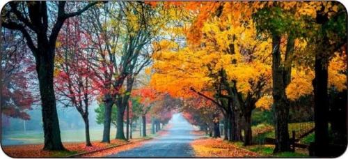 Килимок для мишки Voltronic Autumn road (R362)