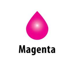 Чорнило для принтера ColorWay Epson SP R270/290 RX500 TX650 200мл Magenta (CW-EW650M02)