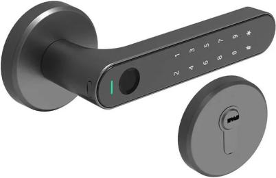 Xiaomi Arkfish Smart Lock S5 Pro Full Version