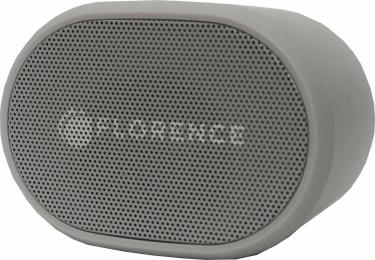 Акустика портативна Florence FL-0450 Gray