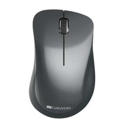 Мишка Canyon CNE-CMSW11 Black бездротова