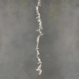 Гірлянда Luca Lighting Строката гілка 150 см Cold White (8718861841015)