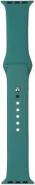 Ремінець для смарт-годинника ArmorStandart Sport Band для Apple Watch 42/44 мм Pine Green (ARM56845) Citron