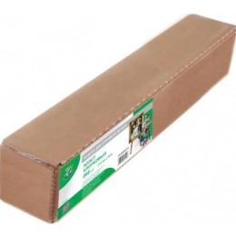 Папір WWM 24/610мм х 30м, natural cotton canvas, втулка 50мм, 260г/м (CC260R.610)