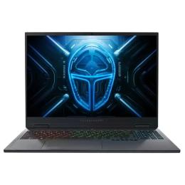 Ноутбук Thunderobot R16 (1NLYB000015) Gray