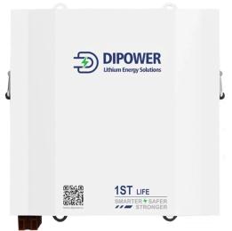 Акумулятор для ДБЖ Dipower 24V/120Ah 2880Wh (настінний)