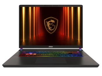 Ноутбук MSI Vector A16 HX A8WIG-013XUA (9S7-15MM72-013) Cosmos Gray