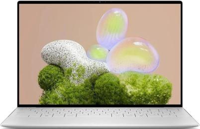 Ноутбук Dell XPS 13 9350 (HFM3J) Platinum