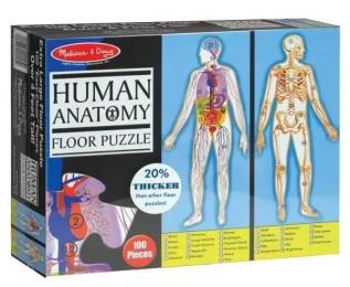 Пазл Melissa &amp; Doug Будова людини MD445 100 елементів мега