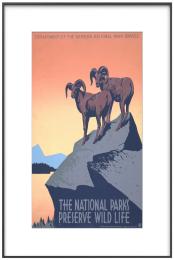 Цифровий постер InkPoster Affresco 31.5 Wifi/BT чорний (PB3150P1-WW)