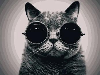 Картина за номерами Art Craft 40х50 см 11607-AC Кіт Морфеус