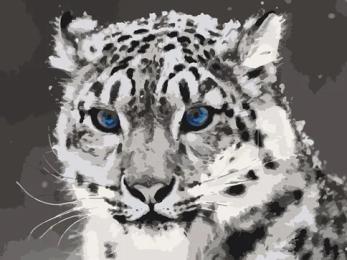 Картина за номерами Art Craft 40х50 см 11609-AC Синьоокий ірбіс