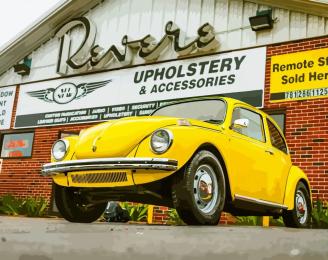 Картина за номерами Art Craft 40х50 см 10513-AC Сонячний жук