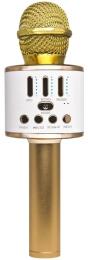 Мікрофон EpiK Q88 Golden