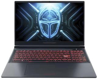 Ноутбук Thunderobot R16 (R16-i9139HX58C1Q300RG) Gray