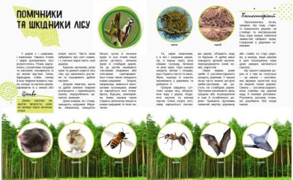 Дитяча книга Ranok Creative Світ і його таємниці Життя лісу 740002