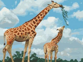 Картина за номерами Art Craft 40х50 см 11634-AC Жирафи на обіді