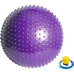 Мяч Newt HMS NE-MAS-65-V Violet