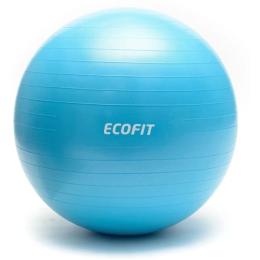 Мяч EcoFit MD1225 65см/1100 гр (К00015205)